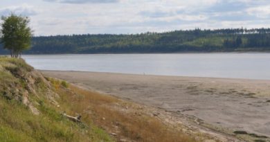 Image d'une rivière avec une berge.