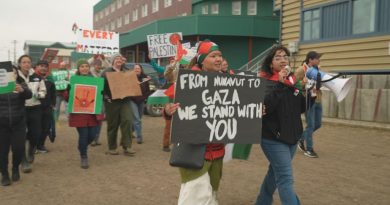 Des manifestants avec des drapeaux et des pancartes pro-palestiniens.