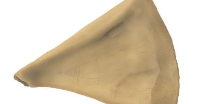 Sur fond blanc, une omoplate d'orignale triangulaire est ornée d'une gravure.