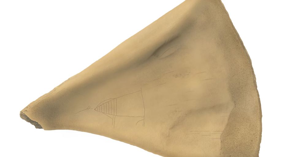 Sur fond blanc, une omoplate d'orignale triangulaire est ornée d'une gravure.