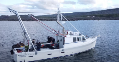 Un bateau de travail dans la baie aux feuilles.