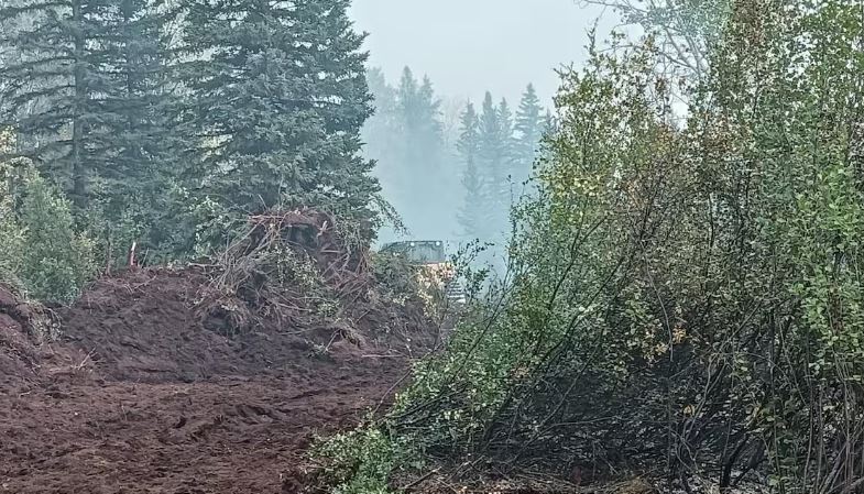 Un bulldozer sur une route de terre à travers les arbres d'une forêt. 