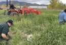 Des travailleurs récoltent des pommes de terre dans un champ.