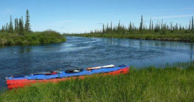 Un canot est accosté sur l'herbe au bord d'une rivière.