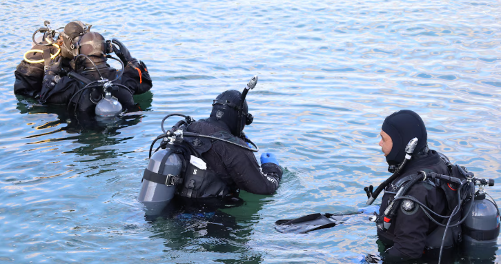 Plongeurs dans l'eau.
