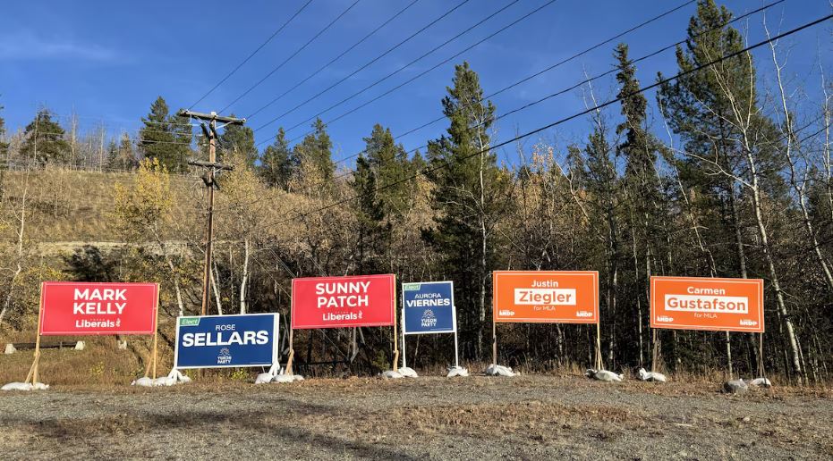 Des pancartes électorales de tous les partis sont installées sur un terrain.