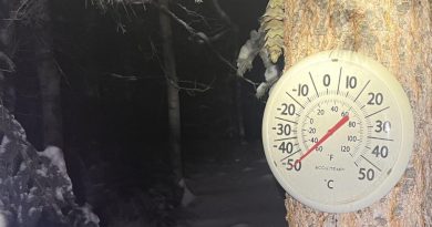 L'aiguille du thermomètre atteint le plancher de -50 C.