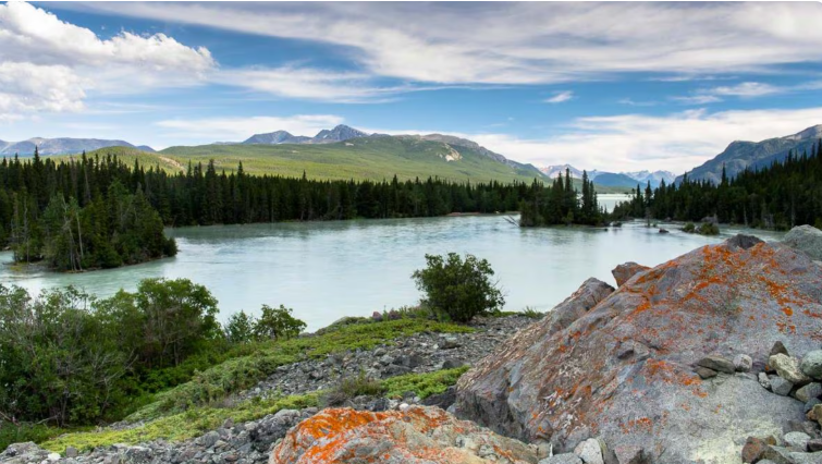 Photo d'un plan d'eau entouré d'arbres et de montagnes.