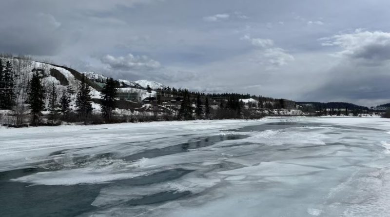 Photo du fleuve Yukon en partie gelé, avec encore de la glace et de la neige, à Whitehorse.