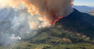 Vue aérienne d'un incendie de forêt sur le mont Underwood.