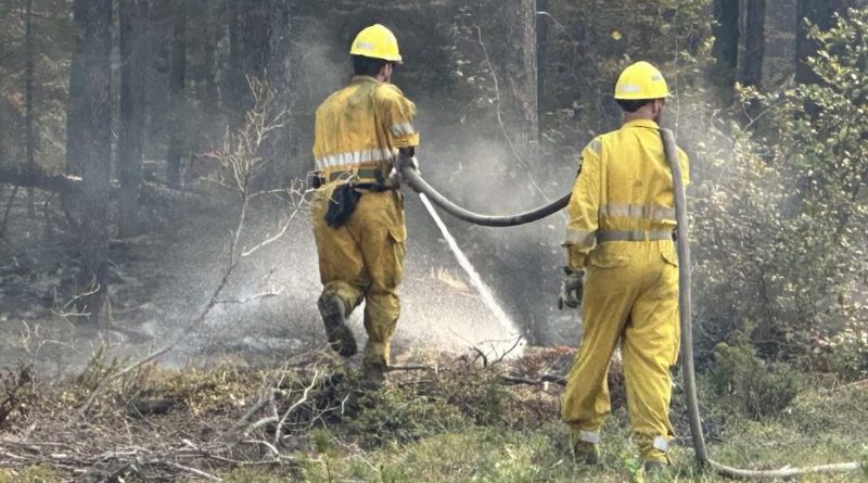 Des pompiers forestiers en train d'asperger de l'eau sur un reste de brasier, aux Territoires du Nord-Ouest, le 22 août 2023.