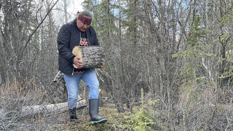 Marcel Pelletier transporte une bûche à Ross River au mois de mai 2026.