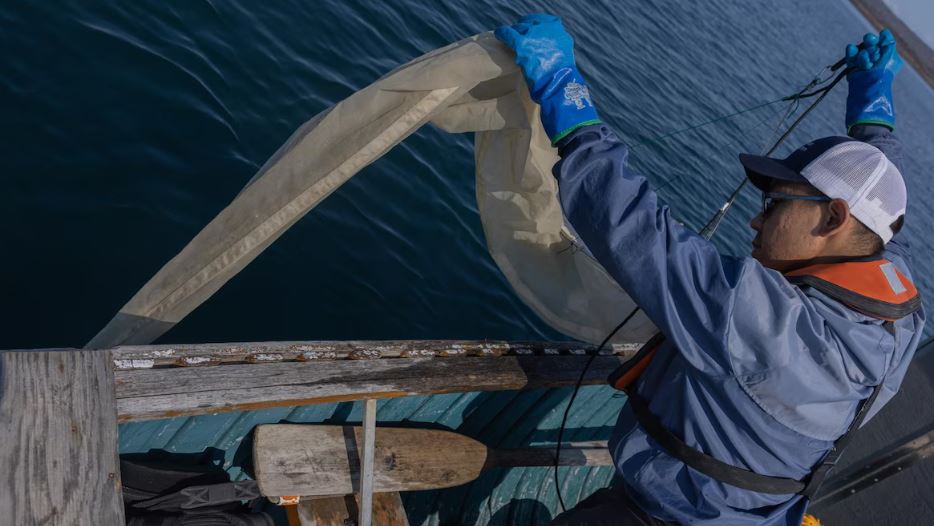Un homme à bord d'un bateau tient un filet au-dessus de l'eau.