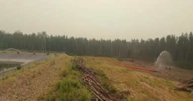Une section de forêt coupée où est installé un boyau d'incendie.