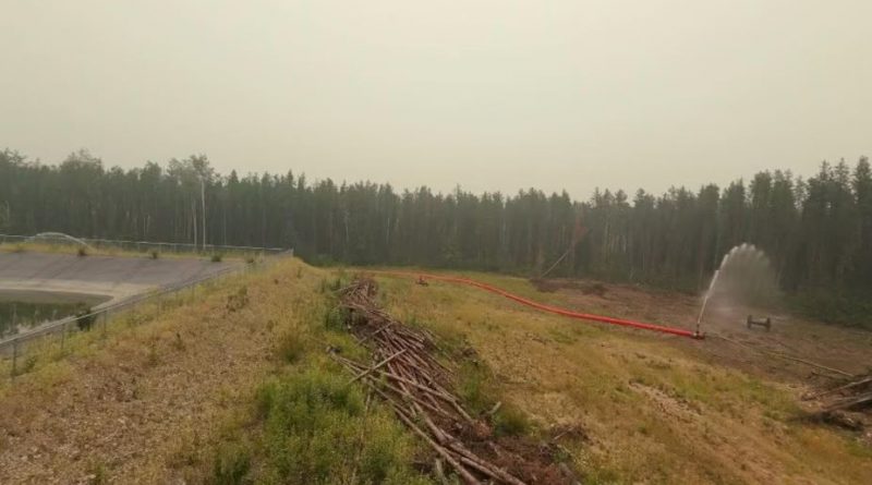 Une section de forêt coupée où est installé un boyau d'incendie.