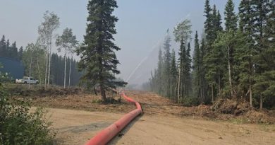 Un gros tuyau est déployé dans une zone pare-feu avec des gicleurs qui arrosent la forêt environnante.
