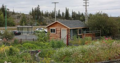 Une photo de la cour de l’école Weledeh à Yellowknife montrant une cabane nichée parmi des plates-bandes garnies de végétation.