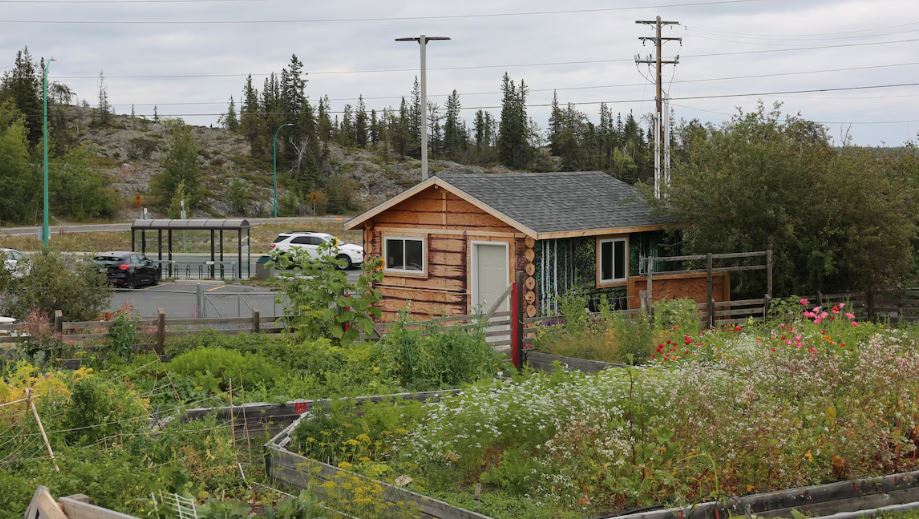 Une photo de la cour de l’école Weledeh à Yellowknife montrant une cabane nichée parmi des plates-bandes garnies de végétation.