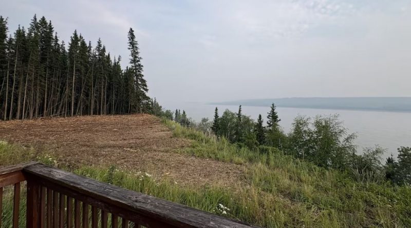 Une image d’une partie de la forêt près de Wrigley, qui a été coupée et dont on a retiré le combustible pour protéger la communauté.