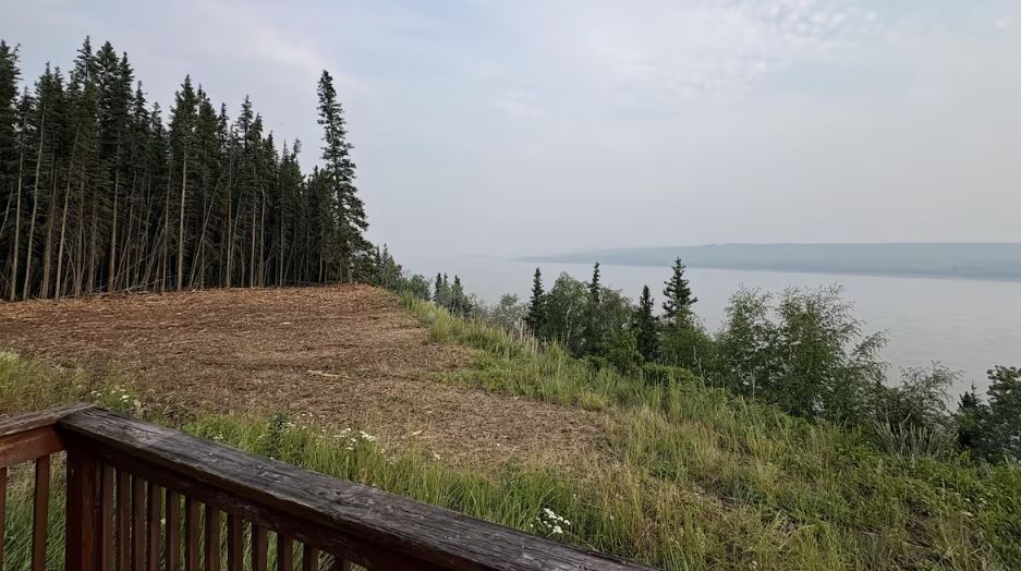 Une image d’une partie de la forêt près de Wrigley, qui a été coupée et dont on a retiré le combustible pour protéger la communauté.