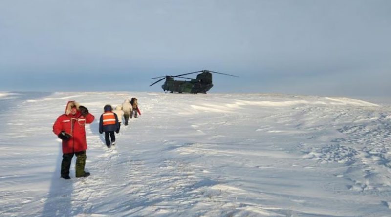 Dans la neige, des personnes se dirigents vers un hélicoptère militaire.