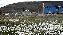 AFP_130516_b67ew_rci-fangxl_sn20511 copy