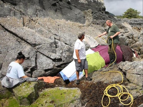 Whale Point/Facebook/CBC