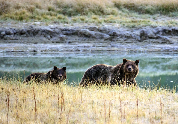 KAREN BLEIER/AFP/Getty Images
