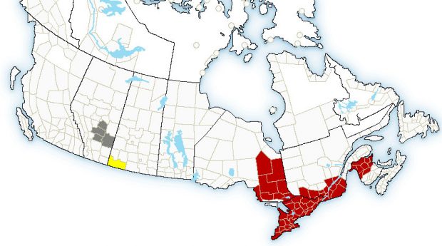 红色为高温地区/Environment Canada