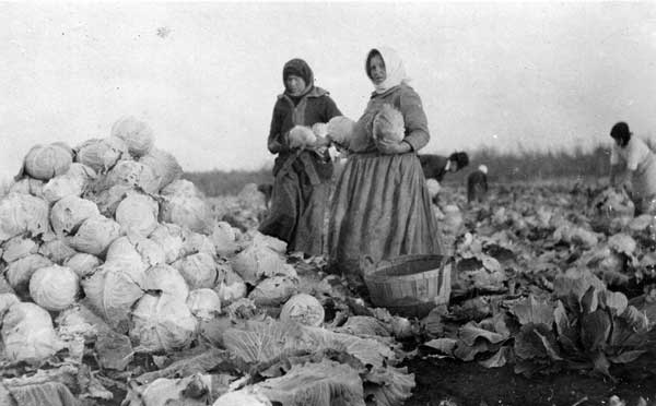 (Archives of Manitoba)