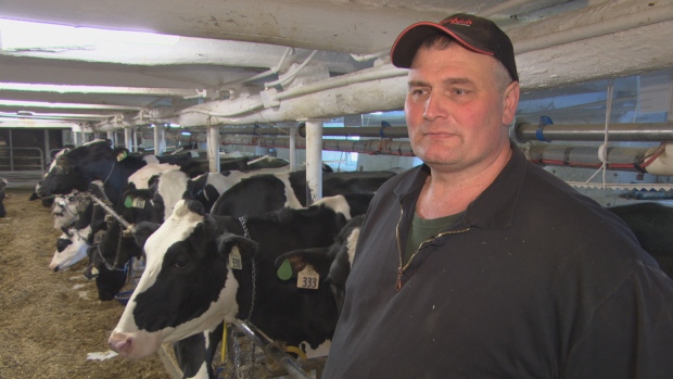 (CBC News)