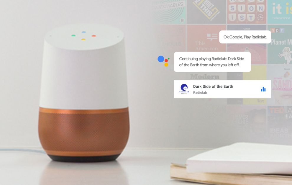 Google Home (Google)