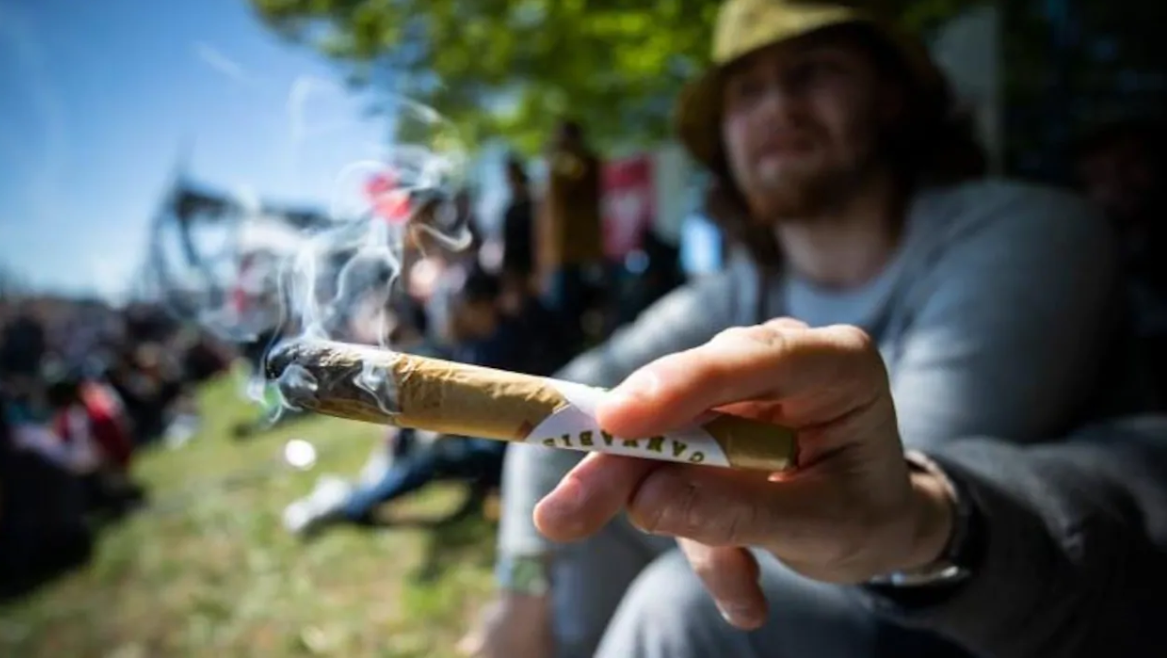 加拿大用大麻的人增加了 40%，BC省领先